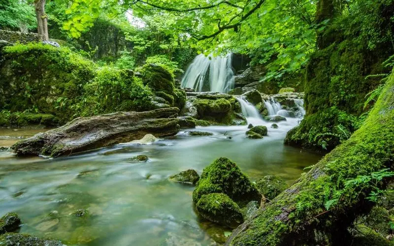 高端科技